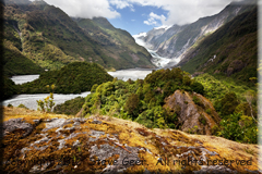 Franz Josef Glacier